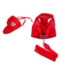 Kit Colete Aerado Com Tiras aderentes E Boné Aerado Vermelho P -Pet Kit Colete Aerado Com Tiras aderentes E Boné Aerado Vermelho P -Pet