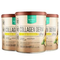 kit Collagen Derm (330g) Nutrify Abacaxi c/ Hortela 3 unidades