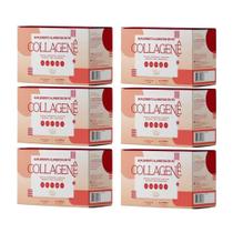 Kit Collagenê Sabor Cranberry Com 6 Unidades De 30 Sachês Com 10g Cada