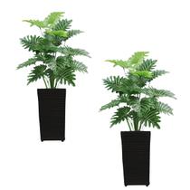 Kit Com 02 Vasos e 02 Plantas Bananinha Completo Enfeite Sala Kit Com 02 Vasos e 02 Plantas Bananinha Completo Enfeite Sala