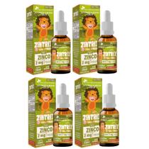 Kit Com 04 - Zintrix Zinco em Gotas 20ml Sabor Morango Kids Flora Nativa Kit Com 04 - Zintrix Zinco em Gotas 20ml Sabor Morango Kids Flora Nativa