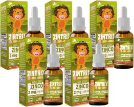 Kit Com 05 - Zintrix Zinco em Gotas 20ml Sabor Morango Kids Flora Nativa