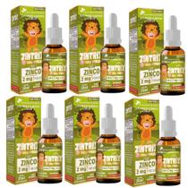 Kit Com 06 - Zintrix Zinco em Gotas 20ml Sabor Morango Kids Flora Nativa Kit Com 06 - Zintrix Zinco em Gotas 20ml Sabor Morango Kids Flora Nativa