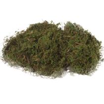 Kit com 10 Musguinhos Para Decoração - Terra Brasil Kit com 10 Musguinhos Para Decoração - Terra Brasil