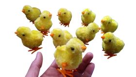 Kit com 10 Pintinhos Amarelos amarelinho de Pelúcia com Corda Brinquedo Infantil que Pula e Diverte Kit com 10 Pintinhos Amarelos amarelinho de Pelúcia com Corda Brinquedo Infantil que Pula e Diverte