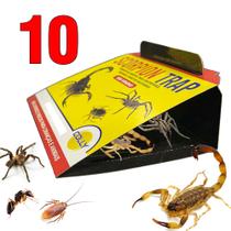 Kit com 10un Armadilha Adesiva Escorpião Barata Aranha Pequenos Invasores Scorpion Trap Colly
