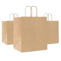 Kit com 10Un de Sacolas de Papel Kraft Média Fundo Largo Biodegradável e Reciclável 26x23,5x17cm - Cromus