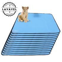 Kit com 12 Banheiro para Cães Tecido Ecológico 100x70 Azul - Inteligente - 200 Lavagens