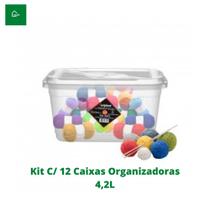 Kit com 12 Caixas Organizadoras Multiuso Transparente 4,2L com Trava