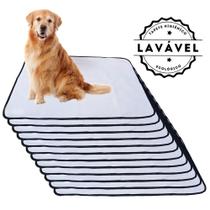 Kit com 12 Fraldas de Câes p/Chão 100x70 Branco com borda Preta 200 Lavagens - Alta Absorção Kit com 12 Fraldas de Câes p/Chão 100x70 Branco com borda Preta 200 Lavagens - Alta Absorção