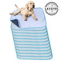 Kit com 12 Fraldas de Câes p/Chão 70x50 Branco com borda Azul 200 Lavagens - Alta Absorção Kit com 12 Fraldas de Câes p/Chão 70x50 Branco com borda Azul 200 Lavagens - Alta Absorção
