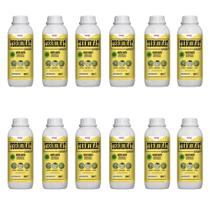 Kit Com 12 Litros de Termimat Mata Mato Dexter
