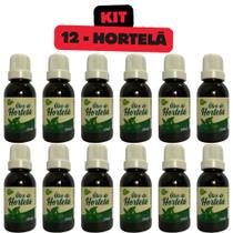 Kit com 12 - Óleo De Hortelã - Menta Piperita - Aroeira Cosmética - 30mL Kit com 12 - Óleo De Hortelã - Menta Piperita - Aroeira Cosmética - 30mL
