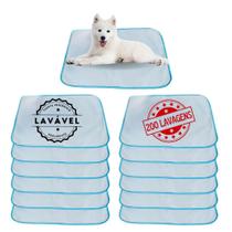 Kit com 12 Tapetes Adestradores de Alta Absorção 70x50 Branco com borda Azul - 200 Lavagens Kit com 12 Tapetes Adestradores de Alta Absorção 70x50 Branco com borda Azul - 200 Lavagens