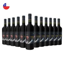 Kit com 12 Vinho Tinto Cabernet Sauvignon Reserva Cuentos Del Fuego 750ml