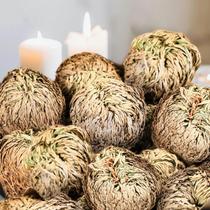 Kit com 14 Rosas de Jericó Secas Espirituais EquSym Kit com 14 Rosas de Jericó Secas Espirituais EquSym