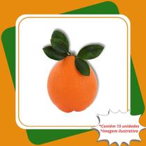 Kit com 15 Mudas de Laranja Valência Citrus sinensis L. Osbeck Valencia. Para Sul e Sudeste