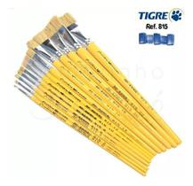 Kit Com 15 Pincéis Tigre 815 ( Linha Amarela )