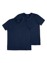 Kit com 2 Camisetas Masculina Hering 022b Kit com 2 Camisetas Masculina Hering 022b