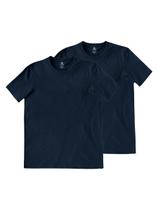 Kit com 2 Camisetas Masculina Hering 201 Kit com 2 Camisetas Masculina Hering 201