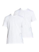 Kit com 2 Camisetas Masculina Hering 299