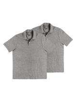 Kit com 2 Camisetas Polo Masculina Hering N3a7