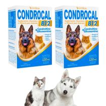 Kit Com 2 Condrocal Suplemento Vitamínico Mineral B12 Para Gatos e Cães 120ml Liquido Vetbras