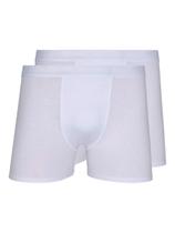 Kit com 2 Cuecas Boxer Lupo 784-017