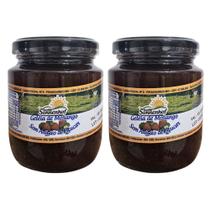 Kit com 2 Geleia Diet sem Açúcar de Morango 270g Fazenda Sonnenhof Kit com 2 Geleia Diet sem Açúcar de Morango 270g Fazenda Sonnenhof
