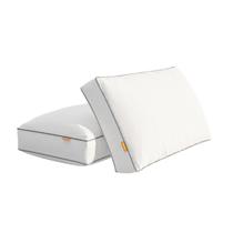 Kit com 2 Travesseiros de Microfibra Ajustáveis Emma