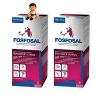Kit com 2 virbac fosfosal 100 ml