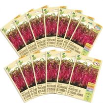 Kit Com 20 Cartelas Sementes de Beterraba Shankar Microverdes -3,00g