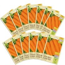 Kit Com 20 Cartelas Sementes de Cenoura Calibrada Média Nantes -1,00g Kit Com 20 Cartelas Sementes de Cenoura Calibrada Média Nantes -1,00g