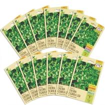 Kit Com 20 Cartelas Sementes De Chicória Escarola Lisa -2,40g Kit Com 20 Cartelas Sementes De Chicória Escarola Lisa -2,40g