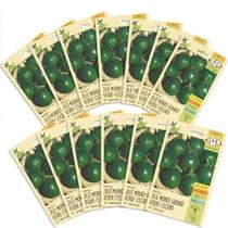 Kit Com 20 Cartelas Sementes de Jiló Verde Escuro Morro Grande -1,00g