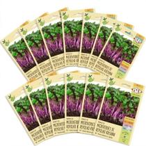 Kit Com 20 Cartelas Sementes de Repolho Roxo Microverdes Krishna -1,50g