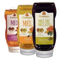 Kit com 3 Bisnaga 550g de Mel de Bracatinga Uva Japonesa E Laranjeira