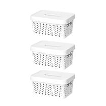 Kit com 3 Caixa organizadora com tampa 2 litros armazenamento Objetos Roupas Multiuso Empilhavel Armário Cesto