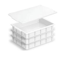 Kit Com 3 Caixas De Fermentação Massa De Pizza C/ Tampa 7l Kit Com 3 Caixas De Fermentação Massa De Pizza C/ Tampa 7l