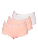 Kit com 3 Calcinhas Alta Star Max Triumph 24649