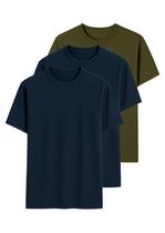 Kit com 3 Camisetas Masculina Hering 0227 Colorido