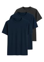 Kit com 3 Camisetas Masculina Hering 0227 Colorido