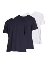 Kit com 3 Camisetas Masculina Hering 227 Colorido