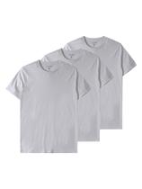 Kit com 3 Camisetas Masculina Malwee 1000015037