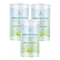 Kit com 3 Collcreatine 500g - Central Nutrition Sabor:Limão