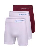 Kit com 3 Cuecas Boxer Speedo 4279 Colorido