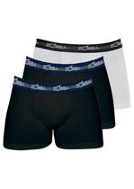 Kit com 3 Cuecas Boxer Zorba 702 Colorido Kit com 3 Cuecas Boxer Zorba 702 Colorido