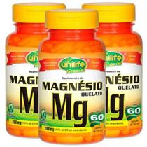 Kit Com 3 Frascos Magnésio Quelato 60 Cápsulas De 730mg