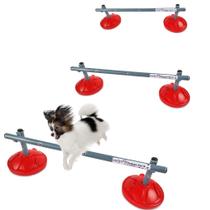 Kit com 3 Mini Saltos de 20cm cada para Cachorro Adestramento, Recreação e Agility Kit com 3 Mini Saltos de 20cm cada para Cachorro Adestramento, Recreação e Agility