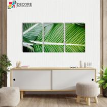 Kit Com 3 Peças 40x60 Quadros Decorativos Folhas Folhagem